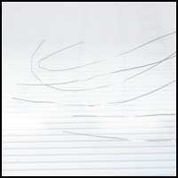E928.jpg